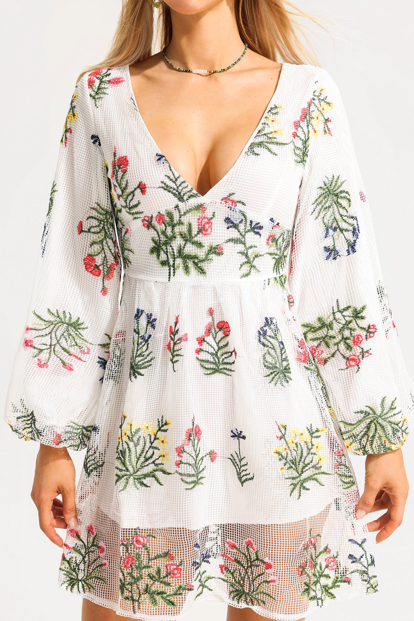 Embroidered Lantern Sleeve V-neck Mini Dress
