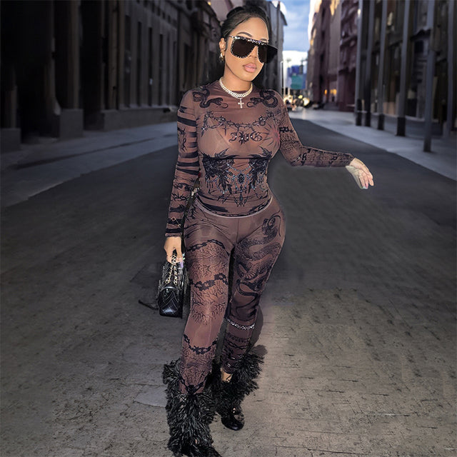 Mesh Printed Skinny Set Round Neck Long Sleeve Tops Slim Pencil Pants 2pcs Outfit