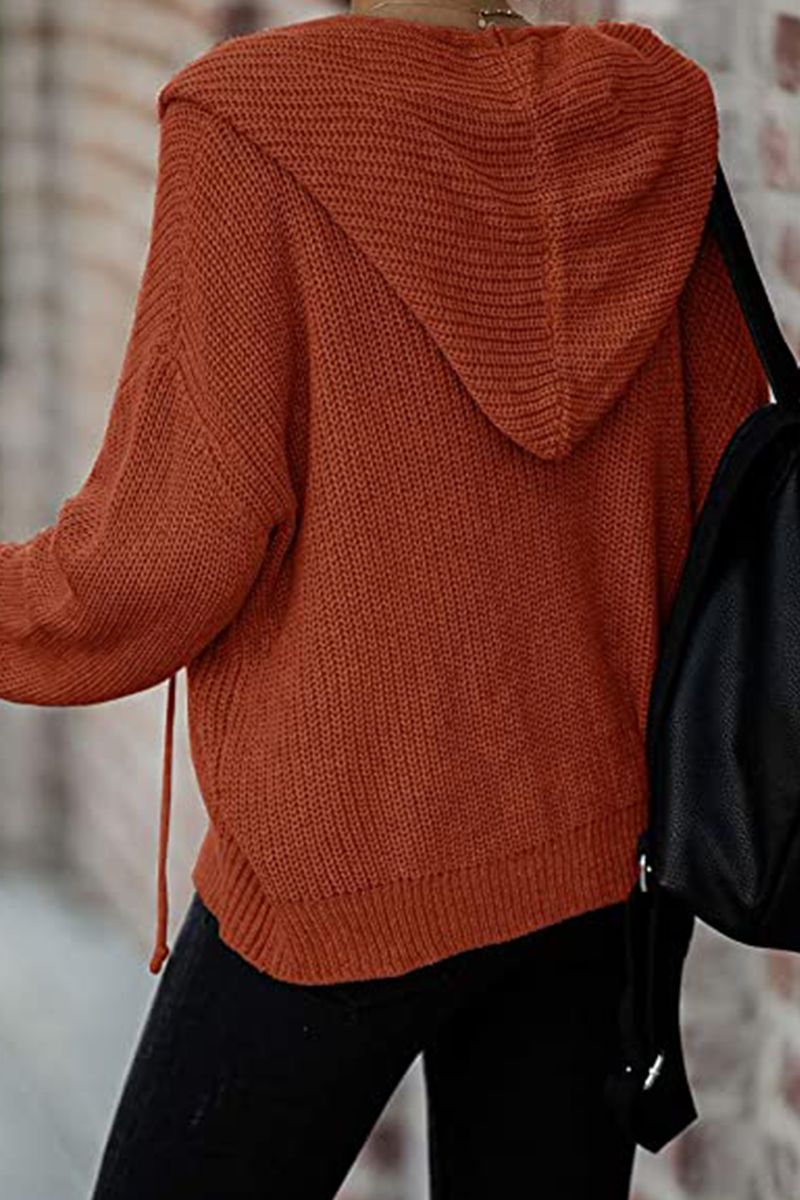 Elegantly Designed Sweater