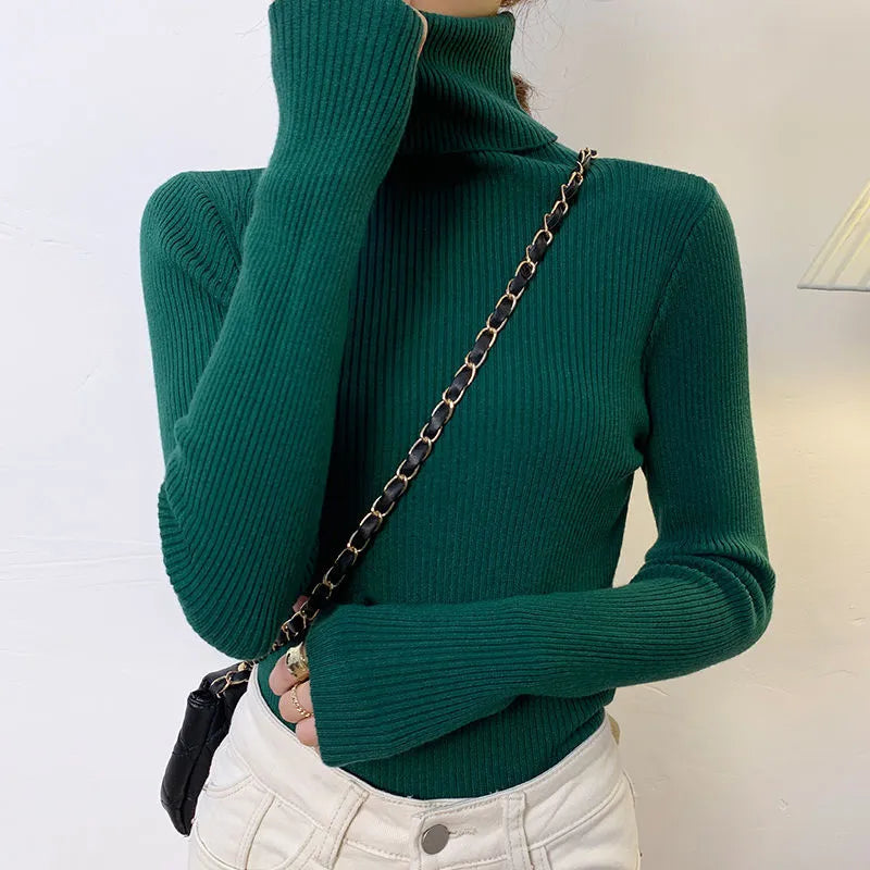 Elegantly Designed Sweater