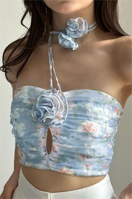 Halter Neck Backless Top