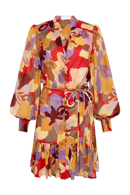 Riva Printed Long-sleeve Mini Dress