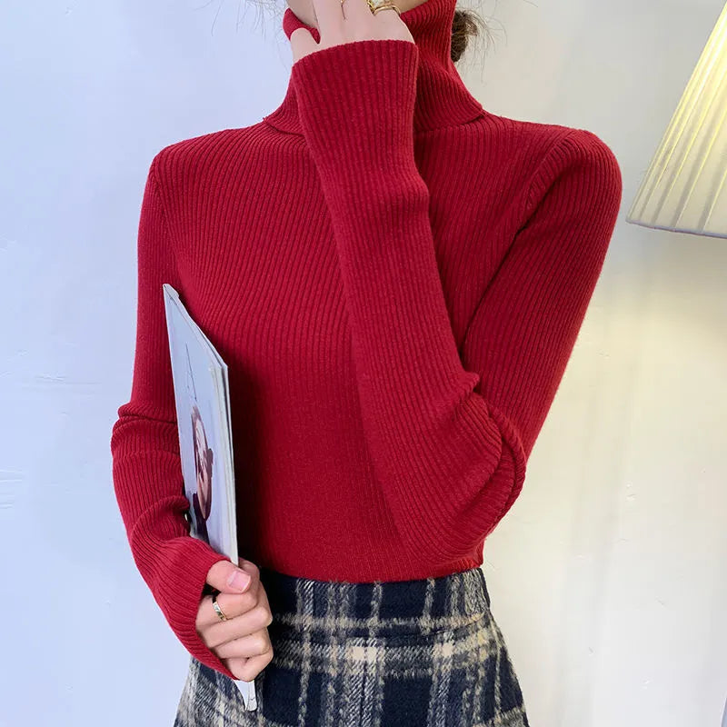 Elegantly Designed Sweater
