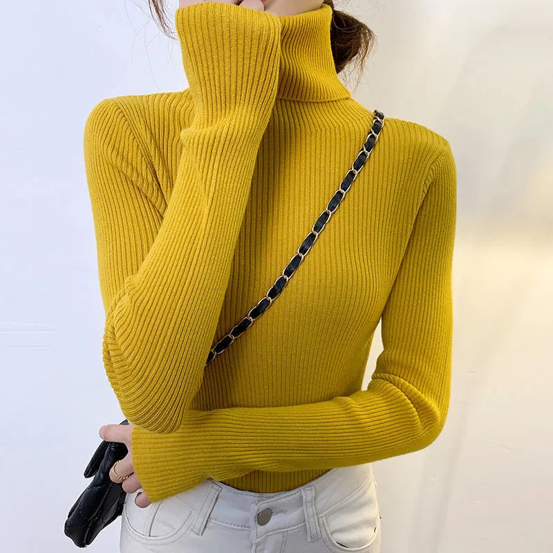 Elegantly Designed Sweater
