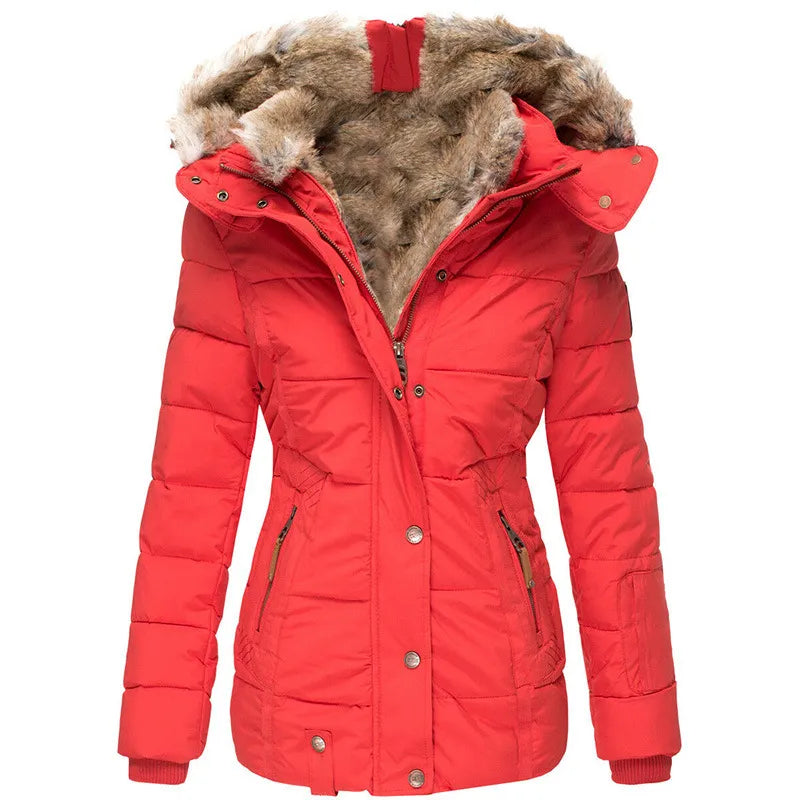 Classic Designed Jacket