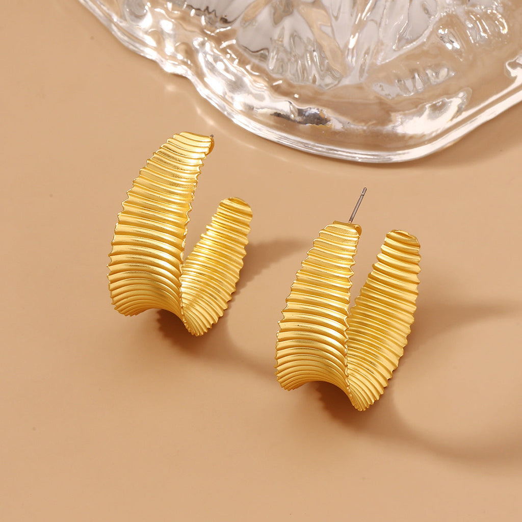 Charming Earring for Any Occasion