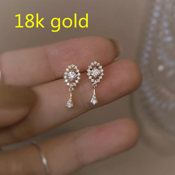 Beautiful Earring with Unique Style
