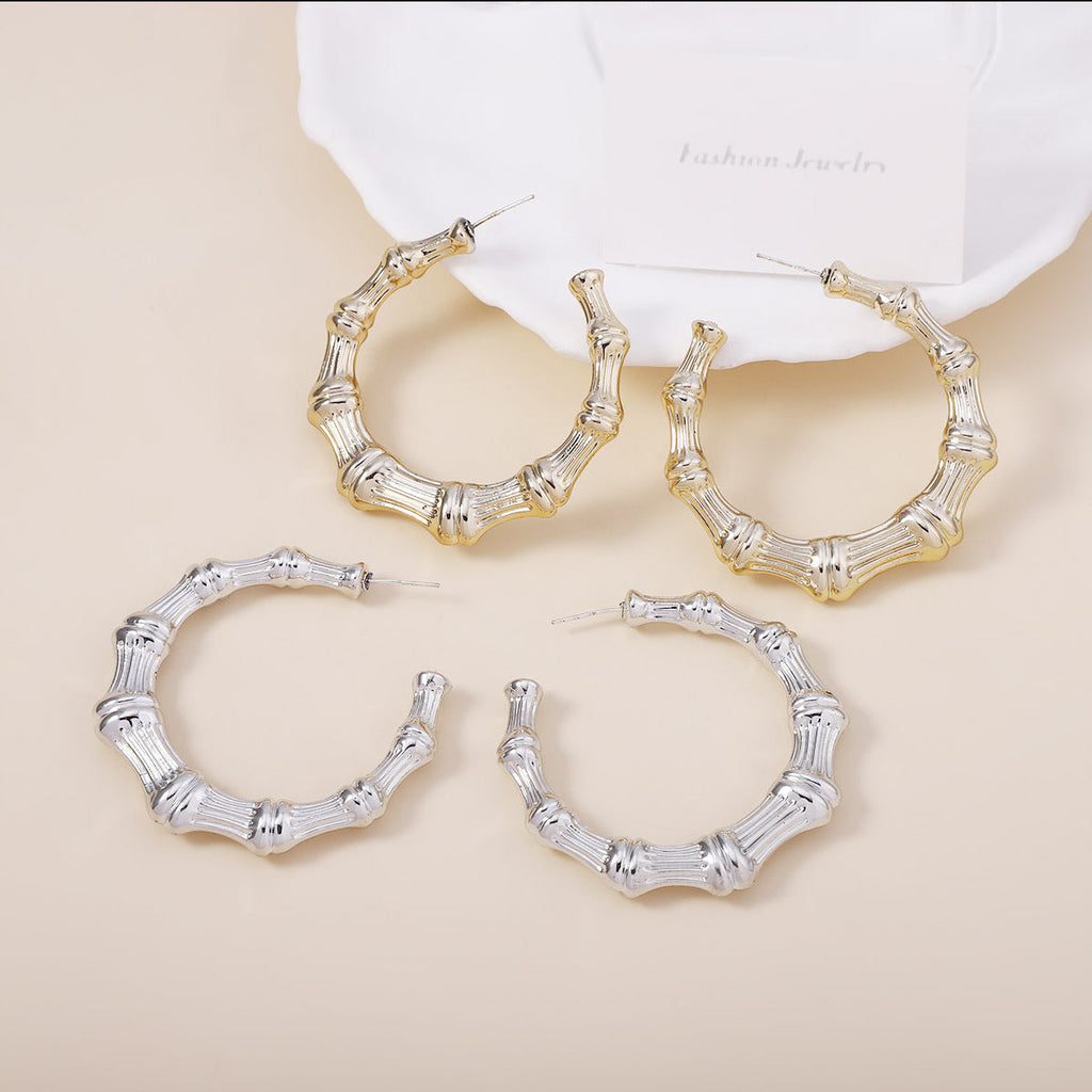 Stunning Earring for Daily Wear