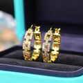 Stunning Earring for Daily Wear