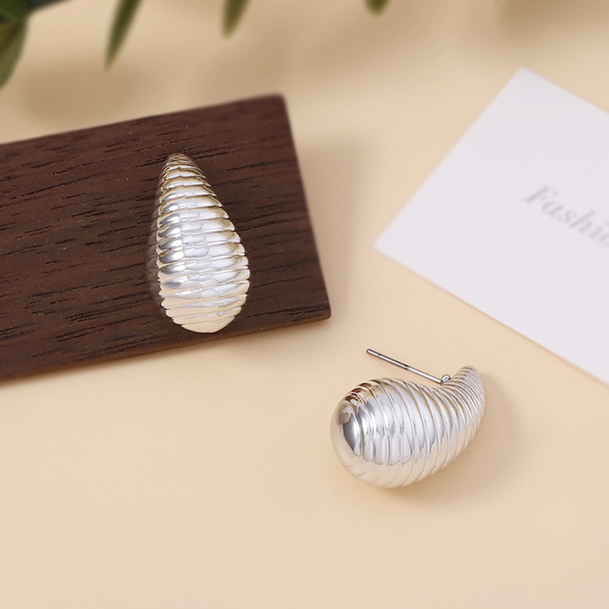 Charming Earring for Any Occasion