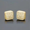 Charming Earring for Any Occasion