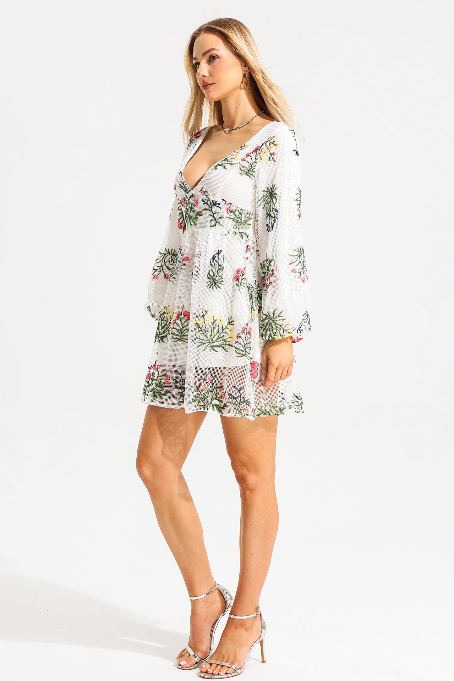 Embroidered Lantern Sleeve V-neck Mini Dress
