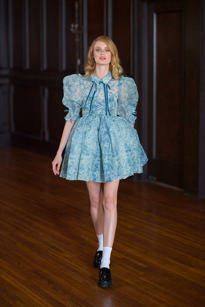 Puff Sleeve Lace Up Doll Collar Mini Dress