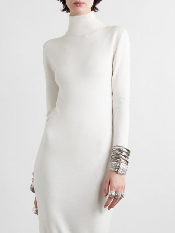 Long Sleeves Skinny Color High Neck Maxi Dresses
