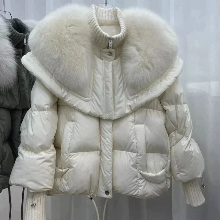 Gracefully Designed Jacket